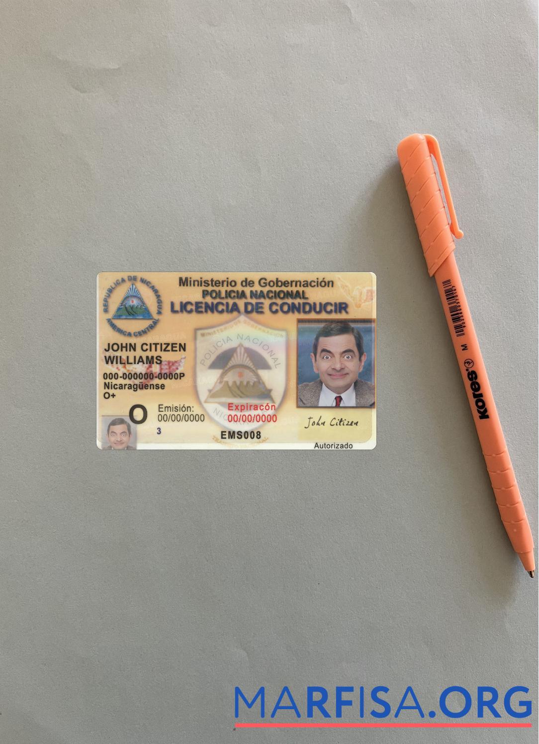 Downloadable Nicaragua driving license photolook download for verification